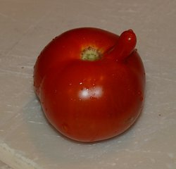 TomatoMutation.jpg
