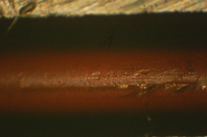 dsc_0001.jpg