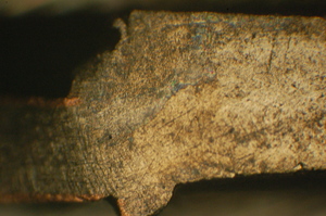 dsc_0005.jpg