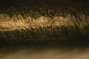dsc_0009.jpg
