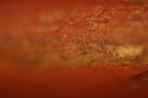 dsc_0011.jpg