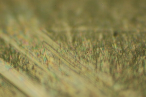 dsc_0022.jpg