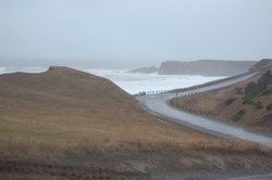 DSC_0003.JPG