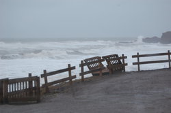DSC_0005.JPG