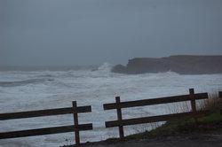 DSC_0008.JPG