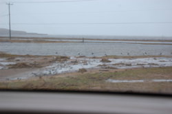 DSC_0017.JPG